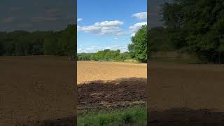 Row Crop ➡️ Rye Grass #country #farmlife