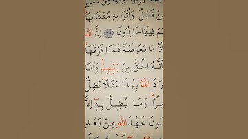 سورة البقرة الأية 26 القارئ سعد الغامدي