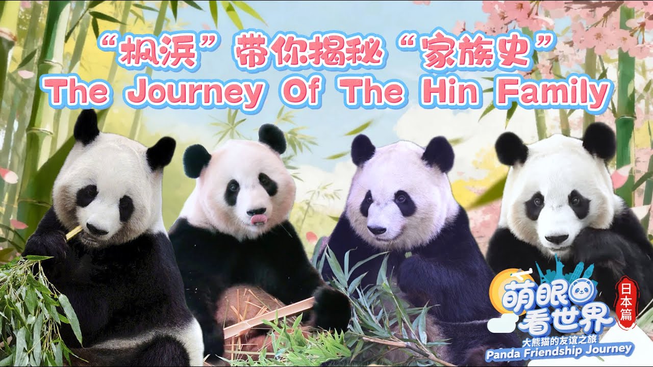 専用】IANNE イアンヌ オリビア panda パンダ Follow Panda Fuhin 