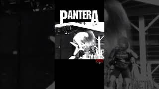 🔥 PANTERA EN MODO LOCURA 🤘🏻#Shorts #YouTubeShorts #Pantera #HeavyMetal #GrooveMetal