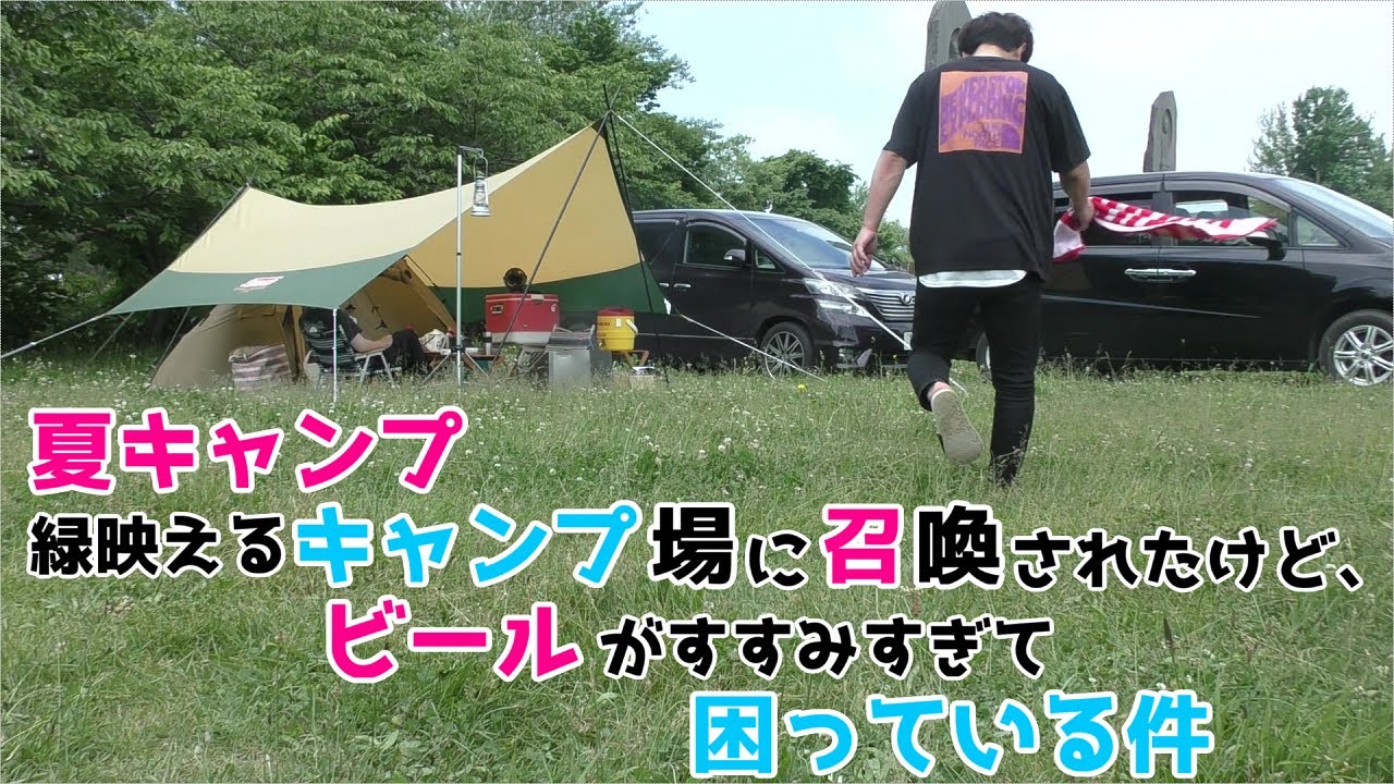 タープ　キャンプ等に EIZER CAMP（アイゼルキャンプ） タープ タープテント 3m 300 防水