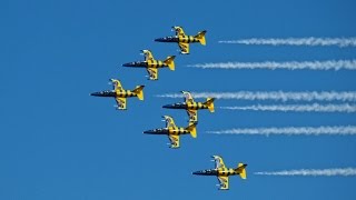 Baltic Bees, Ciav 2015, In Flight Hd