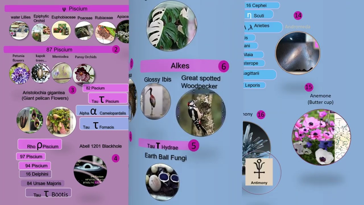 Herculis stars system (6) Hyperion, moon of saturn