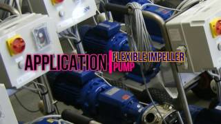 FLEXIBLE IMPELLER PUMP - EH2201A ( ZULHILMI & HARIZ )
