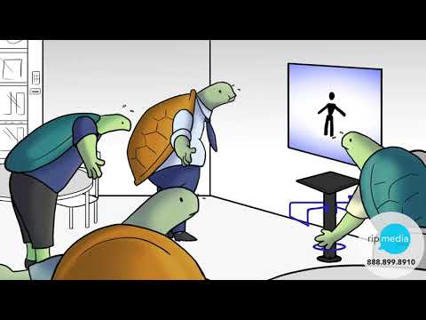 Rip Media Group - Office Turtle Transformation - Hand-drawn Animation