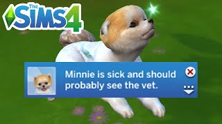How To Know If Your Pet Is Sick - The Sims 4