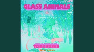 Video thumbnail of "Glass Animals - Tangerine"