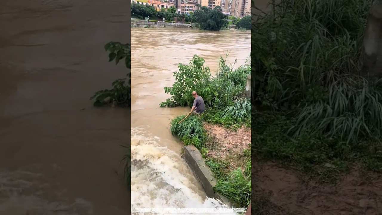 Why Fish Move Near the Bank After Flooding
