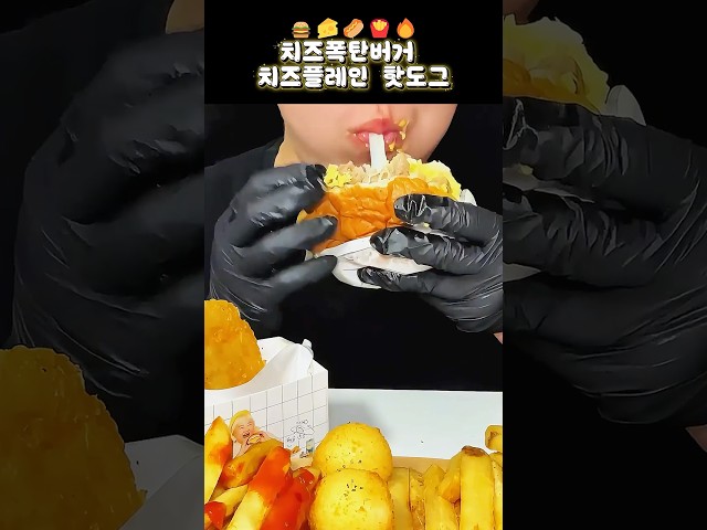 치즈폭탄버거 & 치즈 플레인 핫도그 + 사이드 메뉴 | 치즈 가득 먹방
