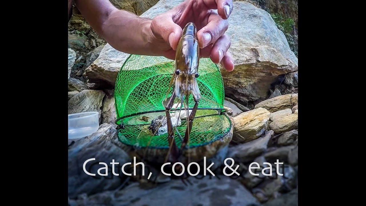 Catch, cook & eat ep. 3 Fresh water shrimp fishing how to open make