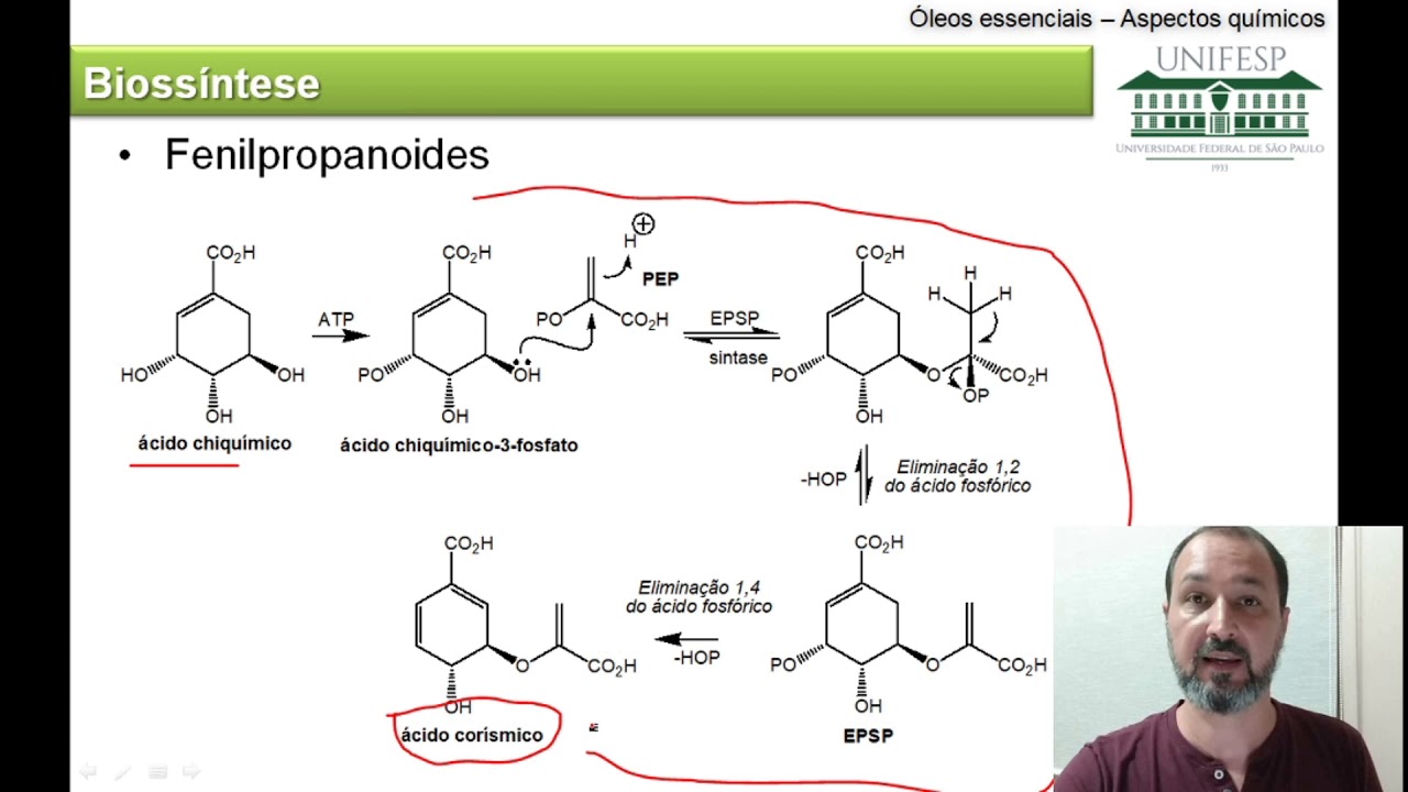 Óleos essenciais   Aspectos químicos
