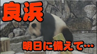 【良浜】明日に備えて・・・