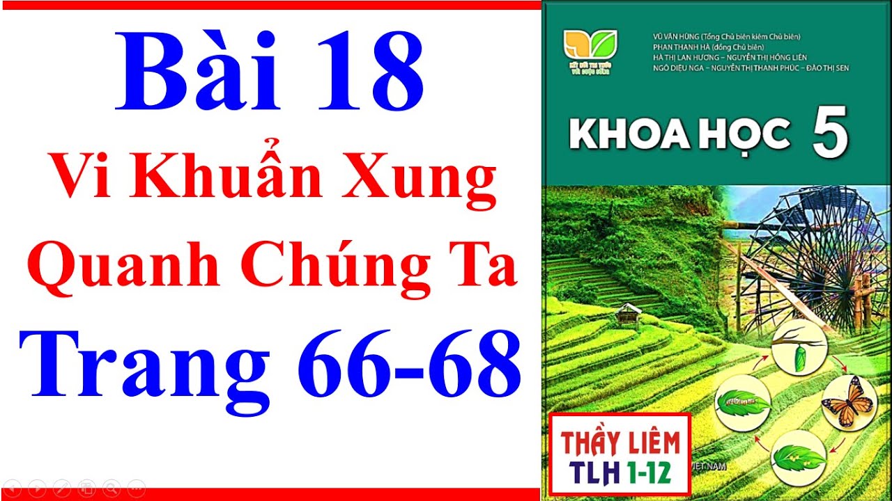 Khoa Học Lớp 5 Bài 18 | Vi Khuẩn Xung Quanh Chúng Ta | Trang 66 – 68 | Kết Nối Tri Thức - youtube