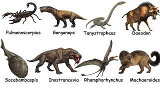 Every Creepiest Extinct Creature Ever Discovered Explained in 08 Minutes
