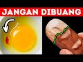 Buat Dirimu Kelihatan Lebih Cerdas di Mana Saja dengan Fakta-Fakta Menarik Ini