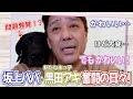 新たな兄弟・黒田アキ、ただいま奮闘中！　〜アキくんと坂上パパの日常〜