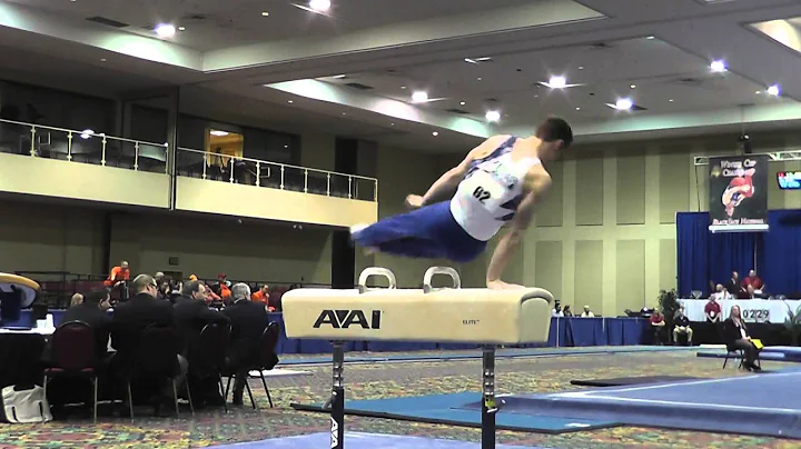 Nicholas Gaudlip - Pommel Horse - 2014 Winter Cup Challenge Prelims