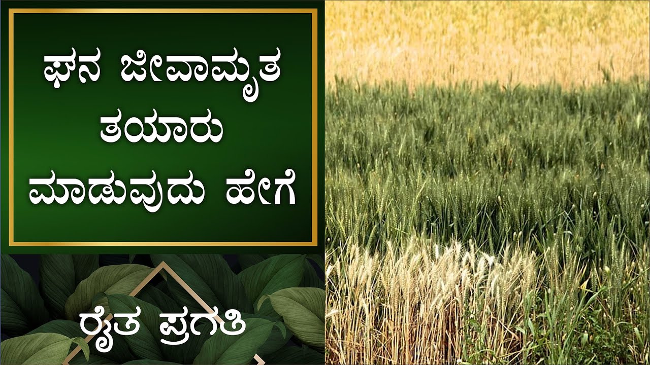 ನೈಸರ್ಗಿಕ ಕೃಷಿ | ಘನ ಜೀವಾಮೃತವನ್ನು ತಯಾರು ಮಾಡುವುದು ಹೇಗೆ | EP –23 | Natural Farming | Raitha Pragathi