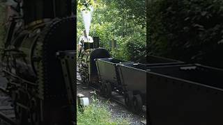 Steam Locomotive "Bee" of the Great Laxey Mine Railway #short 4