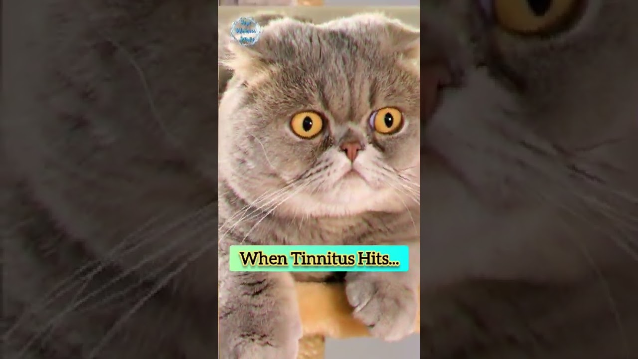 When Tinnitus Hits... 