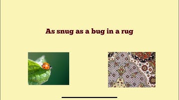 As snug as a bug in a rug