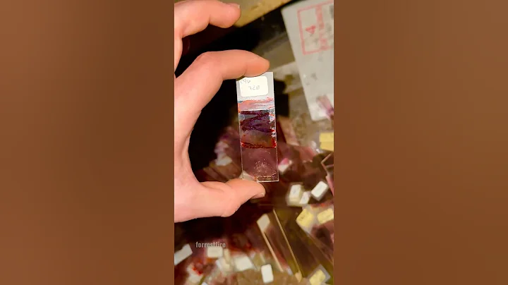 17+ Content Warning!