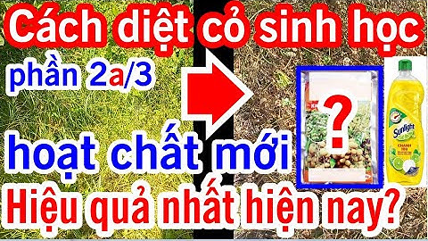 Agri1b. Cách diệt cỏ sinh học không dùng thuốc cỏ, hiệu quả nhất hiện nay? đạt chuẩn xuất khẩu EU