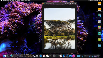 SwiftUI 2 - TimeLine Animation with Combine Timer