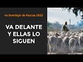 Va delante y ellas lo siguen | El Evangelio desde Sión  | Magdala