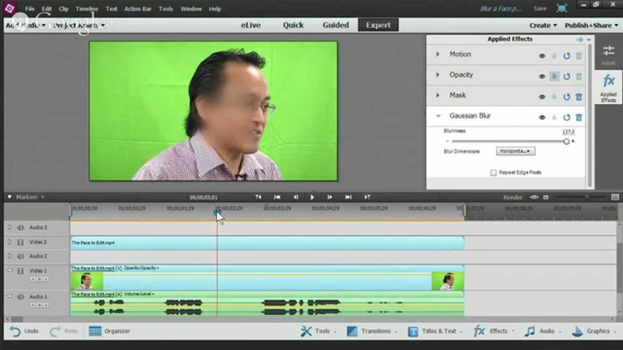 how to blur a face in premiere pro