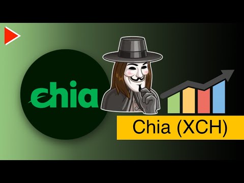 Chia (XCH), скам или нет?