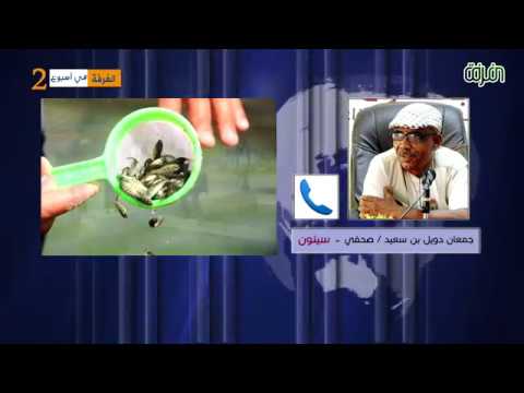 تجربة تنموية ناجحة في انشاء اول مزرعة استزراع سمكي بوادي حضرموت