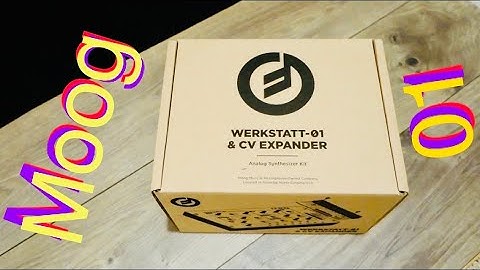 The $199 Moog?! Moog Werkstatt-01 Analog Synth (Quick Unboxing)