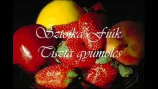 Video thumbnail of "Sztojka Fiúk 2010.: Tiszta gyümölcs"