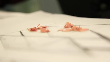 3D Reconstruction Vision Demo