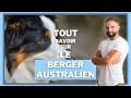 Le Berger Australien : caractère, éducation, comportement, santé : on vous dit tout !