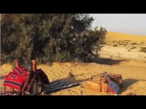 شيلة ياخيالي