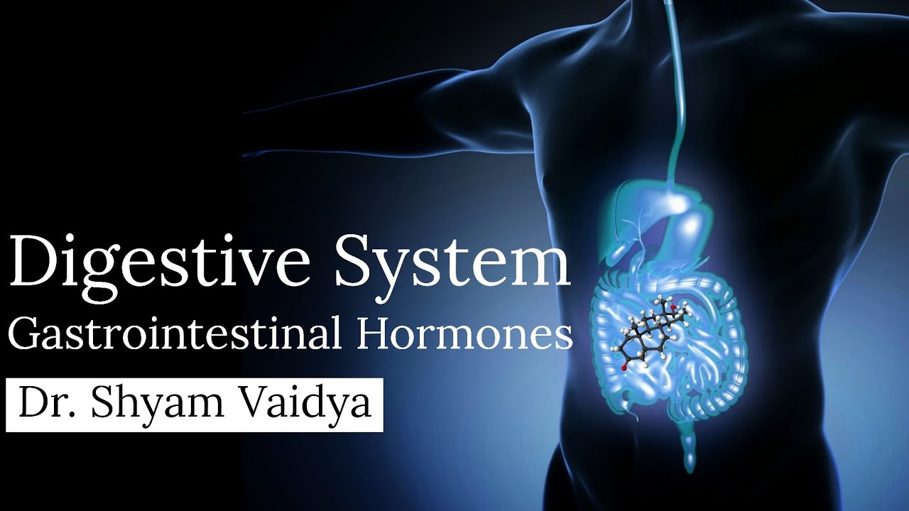 Gastrointestinal Hormones Physiology - 2 - YouTube