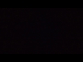 『駱駝』