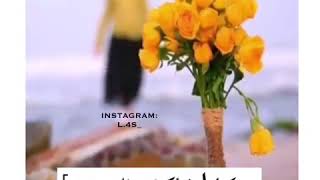 ورد اصفر🌻💛 || عشاق الأصفر || فيديوهات قصيرة🌞💫