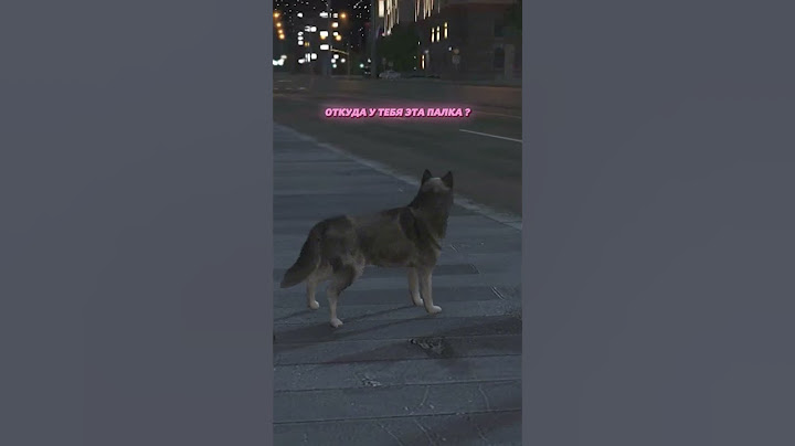 Я СТАЛА СОБАКОЙ (НО НЕ ПОМНЮ КАК) @MikeSolist в ГТА 5 РП (GTA 5 RMRP / Криминальная Москва)