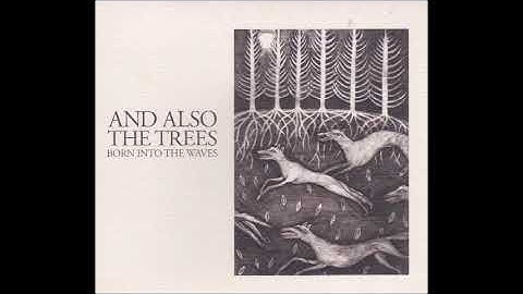 Your Guess - AND ALSO THE TREES