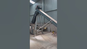 Mushroom bagging production line