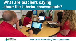What are teachers saying about the interim assessments (Delaware)