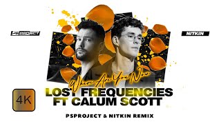 Lost Frequencies ft Calum Scott - Where Are You Now (PSPROJECT & NITKIN REMIX)