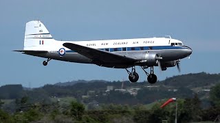 Douglas DC-3 takeoff & landing 🛩 Ardmore Airport, New Zealand