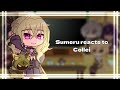 Sumeru reacts to Collei | Male MC | Genshin Impact