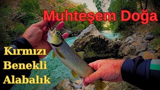 Doğal Alabalık Avı Muhteşem Doğa Ve Yaban Keçileri