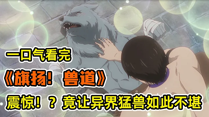 福瑞控穿越異世界開魔獸後宮，開局就把公主撅了！凡是被他摸過的獸人全部白給！一口氣看完《旗揚！獸道》！ - 天天要聞