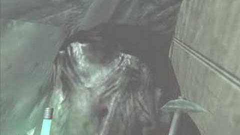 Penumbra Worm Glitch